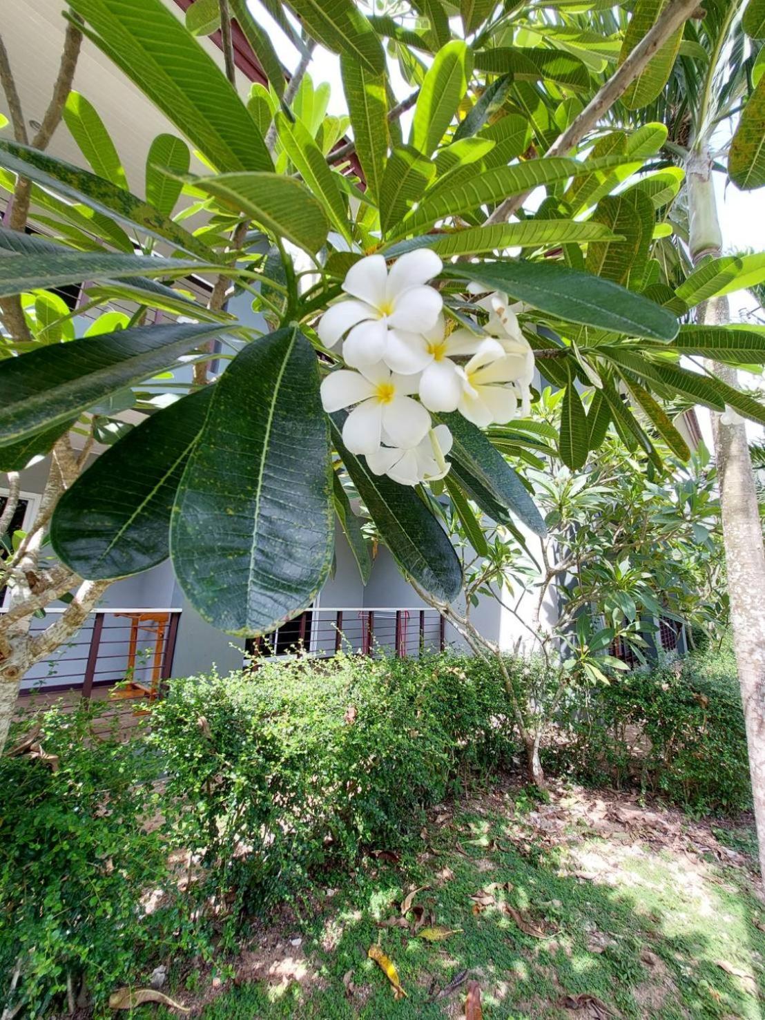 Sisina Resort ประจวบคีรีขันธ์ ภายนอก รูปภาพ
