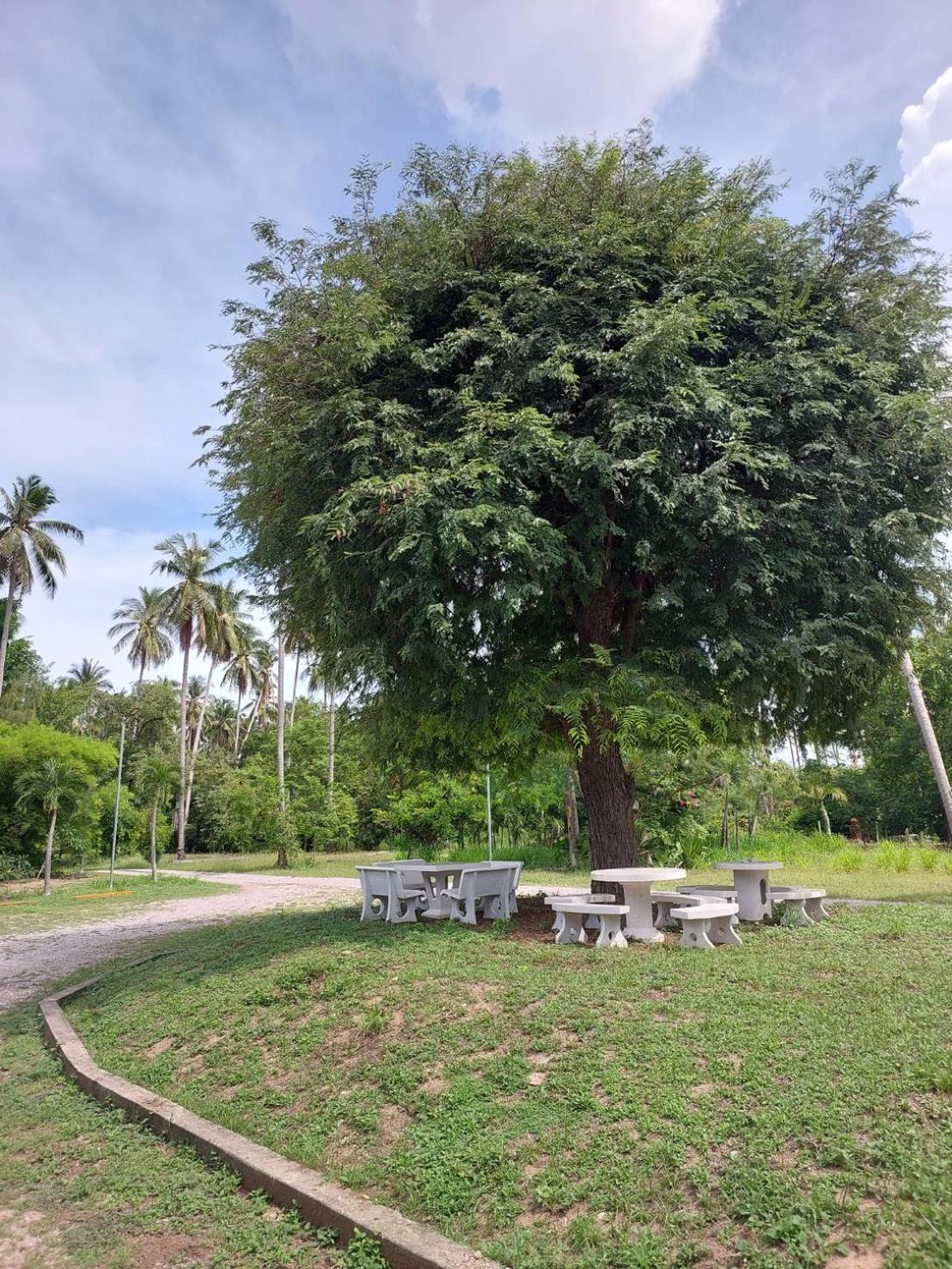 Sisina Resort ประจวบคีรีขันธ์ ภายนอก รูปภาพ